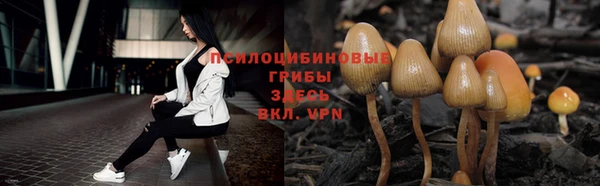 ешки Новозыбков