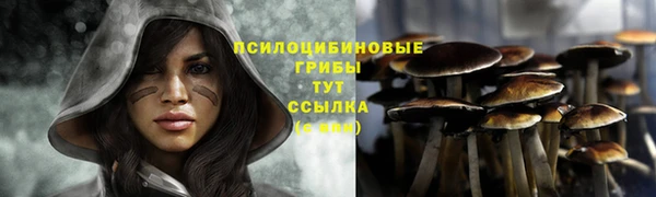 мяу мяу кристалл Нея